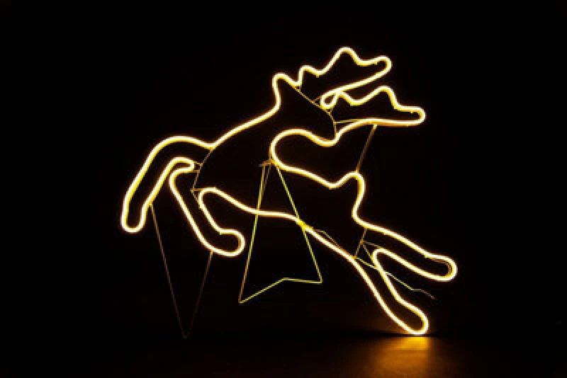Image of Shatchi Jumping Reindeer Neon Effect Rope Light Silhouette Double Side 90 Warm White Leds Christmas Outdoor