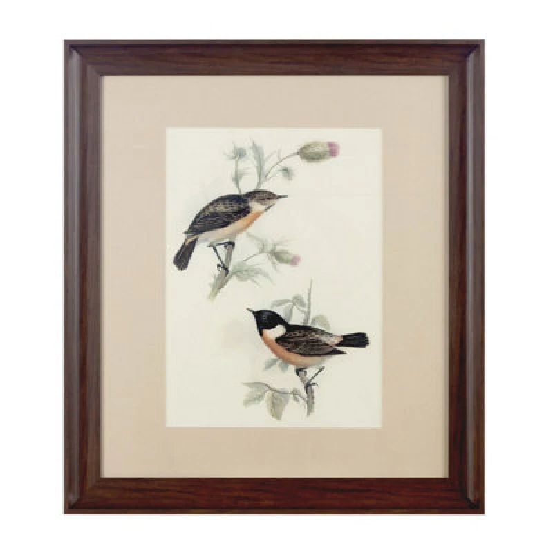 Image of Premier Housewares Framed Birds 2 Wall Art Home Wall Decor Brown