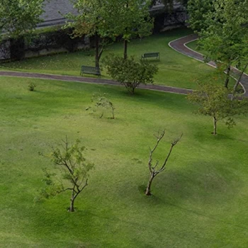 Image of Mabe Fratti - Pies Sobre La Tierra Vinyl