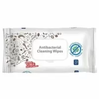 Image of ValueX ABW72AG Antibacterial/Virucidal Wipes (72 Pack)