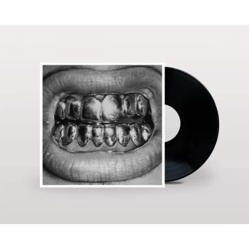 Image of Pup - PUP Picture Disc 5th Anniversary Vinyl