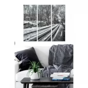 Image of MDF142894 Multicolor Decorative MDF Painting (3 Pieces)