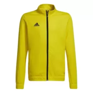 Image of adidas ENT22 Track Jacket Juniors - Yellow