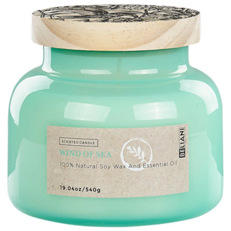 Image of BELIANI Beliani - Scented Candle 100% Soy Wax Cotton Wick Glass Fresh Fragrance Wind of Sea Delight Bliss 409511