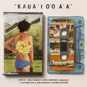 Image of Gentle Friendly - KauaI OO AA Vinyl