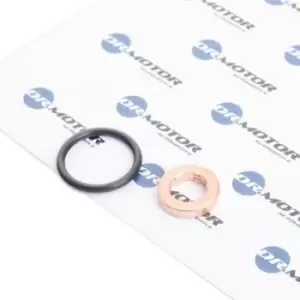 Image of DR.MOTOR AUTOMOTIVE Gaskets DRM055 Seal Kit, injector nozzle AUDI,A4 Avant (8E5, B6),A6 Avant (4B5, C5),A4 Limousine (8D2, B5),A4 Avant (8D5, B5)