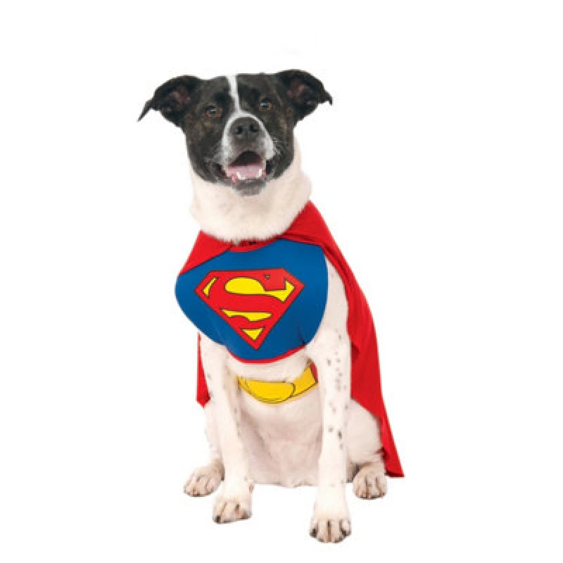 Image of DC comics Superman Dog Costume Red/blue/yellow (L)