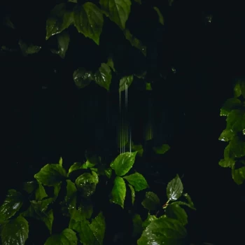 Image of Martina Bertoni - Music for Empty Flats Vinyl