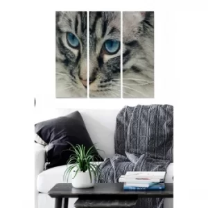 Image of MDF164693 Multicolor Decorative MDF Painting (3 Pieces)