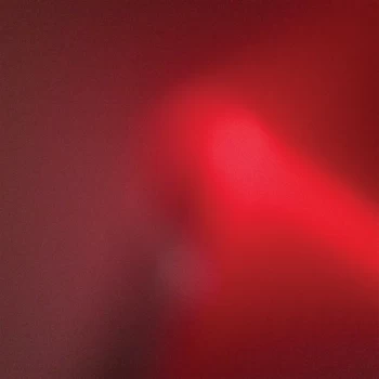 Image of Meat Wave - The Incessant Vinyl