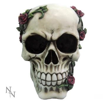 Image of Rose From Beyond Skull