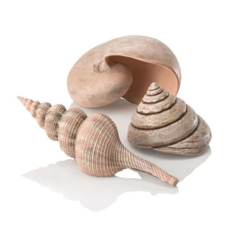 Image of Oase Biorb Sea Shells Natural - Aquarium Fish Tank Ornament