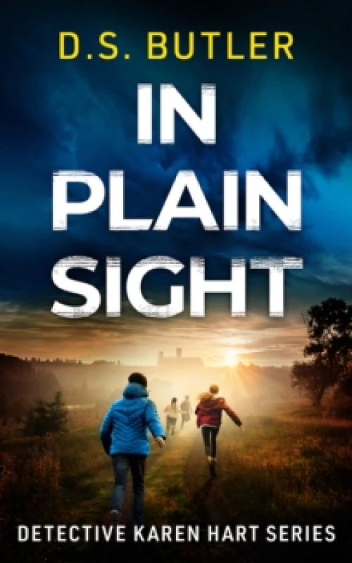 Image of In Plain Sight Paperback / softback