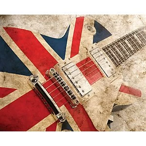 Image of ohpopsi Rock Guitar Wall Mural Multi 14.4m L