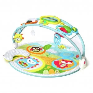 Image of Skip Hop Explore More Amazing Arch Activity Gym