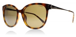 Image of Polaroid Palladium 4048S Sunglasses Havana Gold R8V Polariserade 56mm