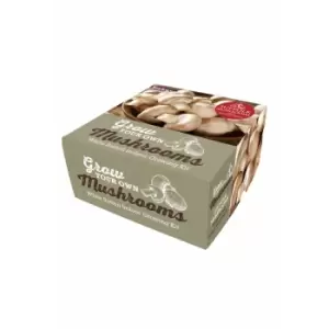 Image of Grow Your Own Mushroom Kit
