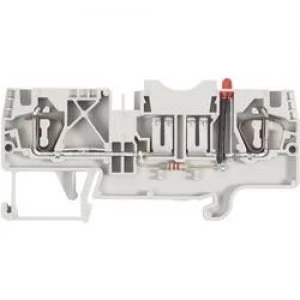 Image of Wieland 56.704.4255.0 WKFN 4 FSI LED12 0.13 6 mm2 Grey