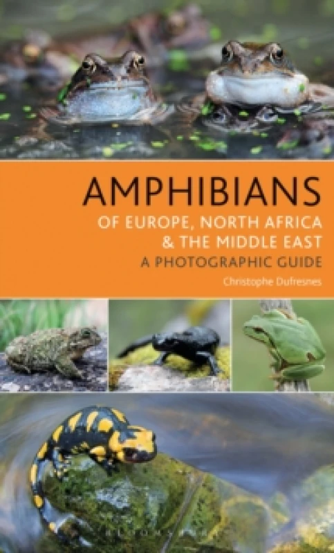 Image of Amphibians of Europe, North Africa and the Middle East : A Photographic Guide Paperback / softback