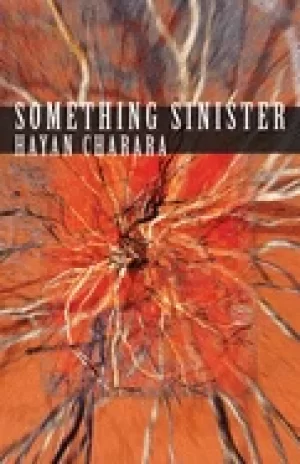 Image of something sinister