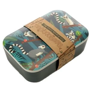 Image of Bamboo Composite Spirit of the Night Lemur Lunch Box