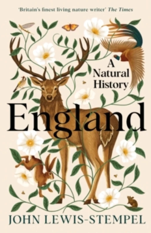 Image of England. Hardback. By John LewisStempel Books