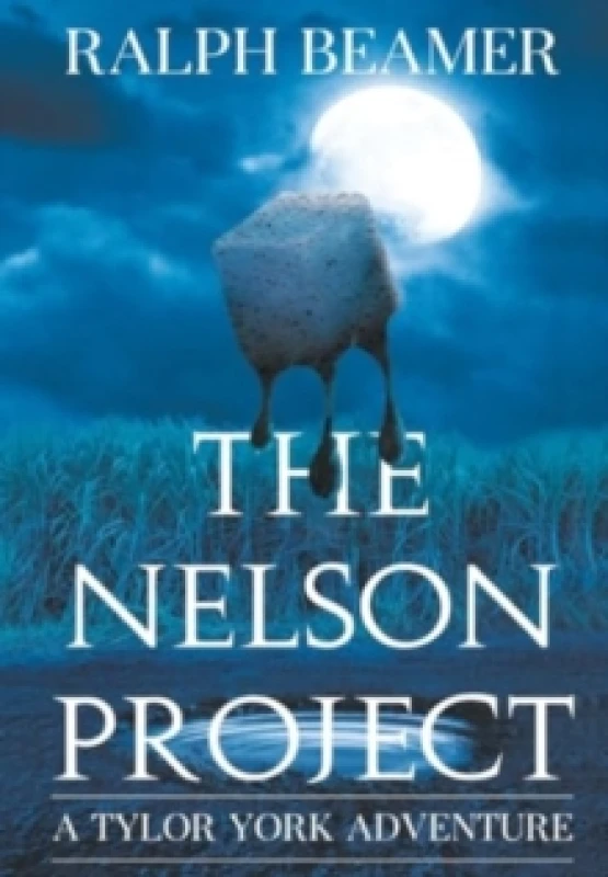Image of The Nelson Project Hardback