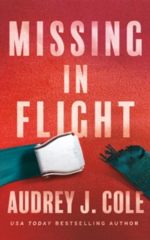 Image of Missing In Flight Paperback / softback