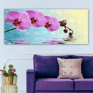 Image of YTY883027_50120 Multicolor Decorative Canvas Painting