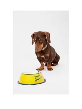 Image of Joules 'Bone Appetite' Dog Bowl