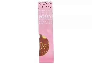 Image of Posey Reed Diffuser in Gift Box Angel Rose Scent