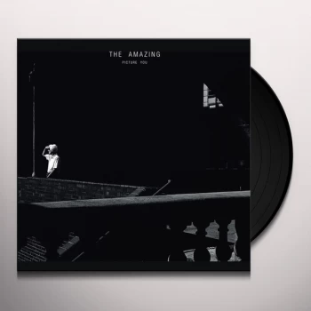 Image of The Amazing - Picture You Vinyl