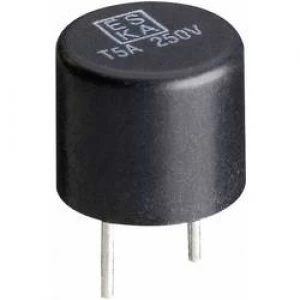 Image of Micro fuse Radial lead circular 0.1 A 250 V quick