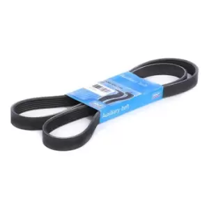 Image of SKF V-ribbed belt VKMV 6PK1548 Serpentine belt,Auxiliary belt VW,BMW,SKODA,Golf IV Schragheck (1J1),Golf IV Variant (1J5),Bora Limousine (1J2)