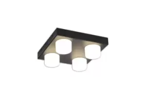 Image of 4 Light Fixed Ceiling, 4 x 5W LED, 4000K, 1700lm, IP44, Sand Black, 3yrs Warranty