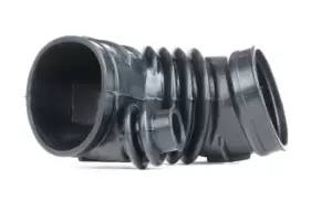 Image of MEYLE Intake Manifold, air supply BMW 300 137 1107 13711726205,13711726325,1726205