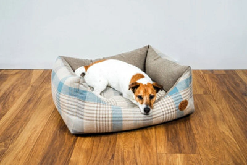 Image of Snug & Cosy Pets Snug And Cosy Highland Bluebell Rectangle Bed 76Cm