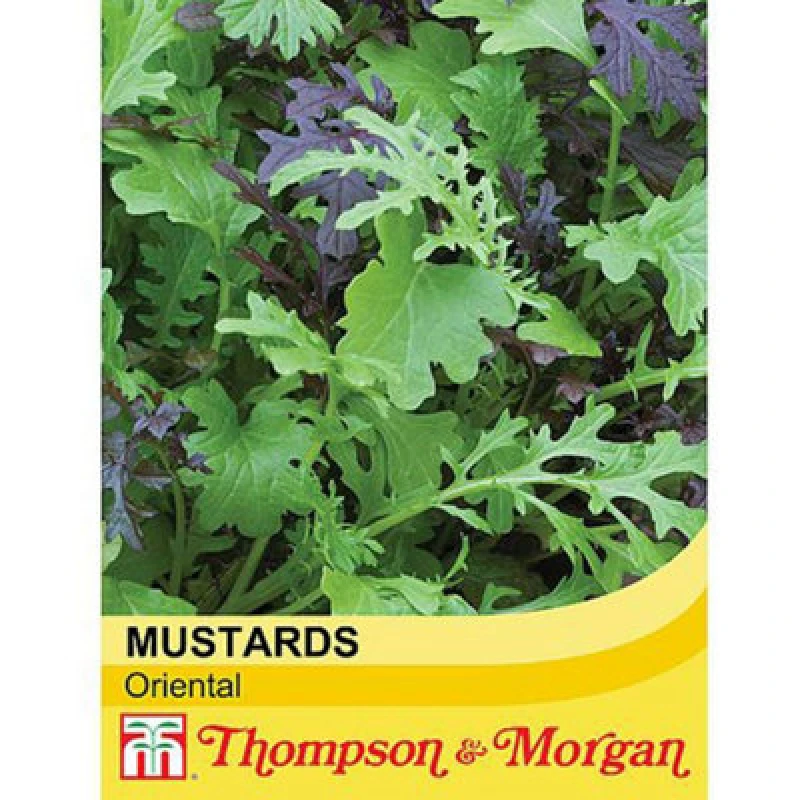 Image of Thompson & Morgan Salad Leaves Oriental Mustards 1 Seed Packet