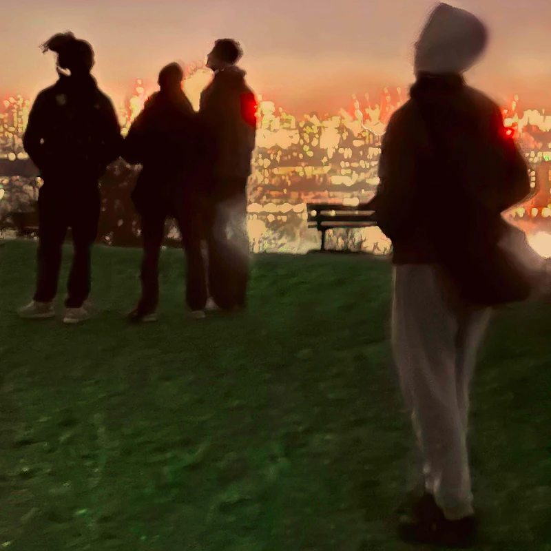 Image of Secret Life Vinyl