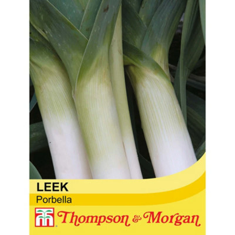 Image of Leek Porbella 1 Seed Packet (50 Seeds) - Thompson & Morgan
