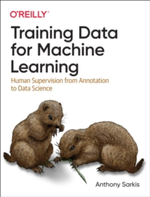 Image of Training Data for Machine Learning Paperback / softback