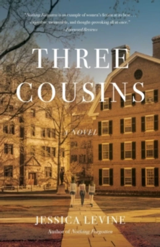 Image of Three Cousins : A Novel Paperback / softback