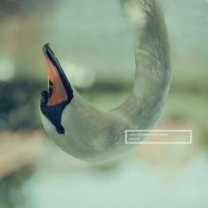 Image of Coldharbourstores - Vesta Gold Vinyl