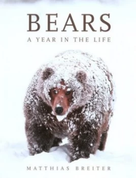 Image of Bears by Matthias Breiter Paperback