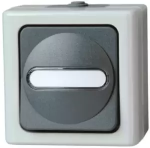 Image of Kopp, Modular Switch, Grey, Surface Mount, IP44, 10A