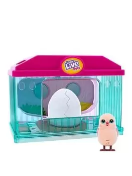 Image of Little Live Pets Surprise Chick Hatching House Playset