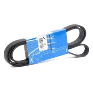 Image of SKF V-ribbed belt VKMV 6PK1836 Serpentine belt,Auxiliary belt BMW,FIAT,ALFA ROMEO,3 Touring (E91),3 Limousine (E90),1 Schragheck (E87),3 Coupe (E92)