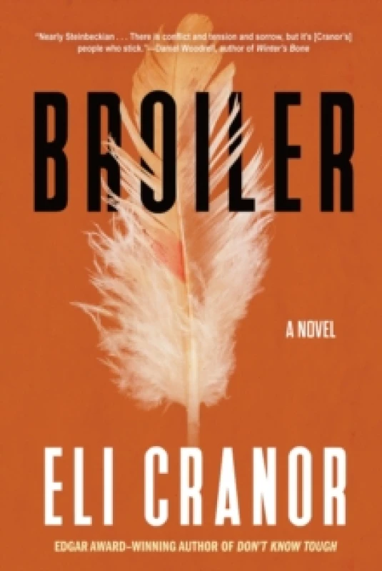 Image of Broiler Paperback / softback
