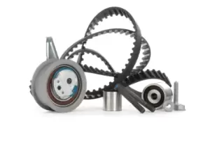 Image of INA Timing belt kit 530 0650 10 Timing belt set,Cam belt kit VW,AUDI,SKODA,Golf VII Schragheck (5G1, BQ1, BE1, BE2),TIGUAN (5N_)