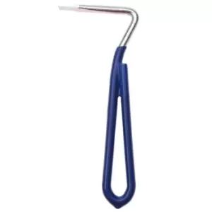 Image of Roma Vinyl Hoof Pick - Blue